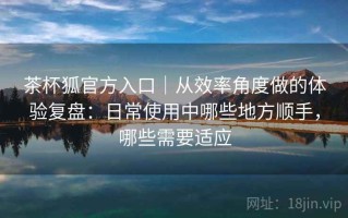 茶杯狐官方入口｜从效率角度做的体验复盘：日常使用中哪些地方顺手，哪些需要适应