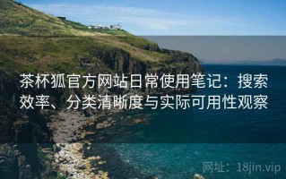 茶杯狐官方网站日常使用笔记：搜索效率、分类清晰度与实际可用性观察