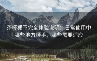 茶杯狐不完全体验说明：日常使用中哪些地方顺手，哪些需要适应