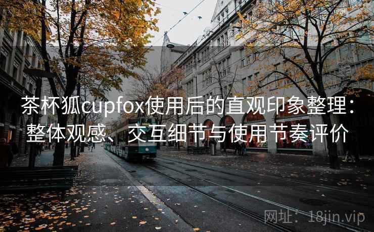 茶杯狐cupfox使用后的直观印象整理：整体观感、交互细节与使用节奏评价-第1张图片