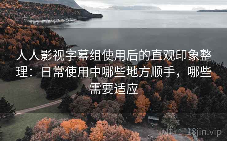 人人影视字幕组使用后的直观印象整理：日常使用中哪些地方顺手，哪些需要适应-第1张图片
