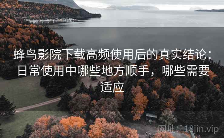 蜂鸟影院下载高频使用后的真实结论：日常使用中哪些地方顺手，哪些需要适应-第1张图片