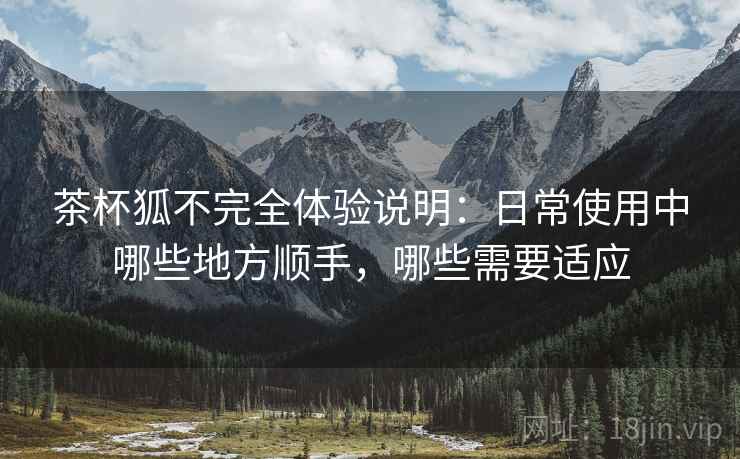 茶杯狐不完全体验说明：日常使用中哪些地方顺手，哪些需要适应-第1张图片
