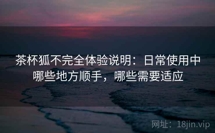 茶杯狐不完全体验说明：日常使用中哪些地方顺手，哪些需要适应-第2张图片